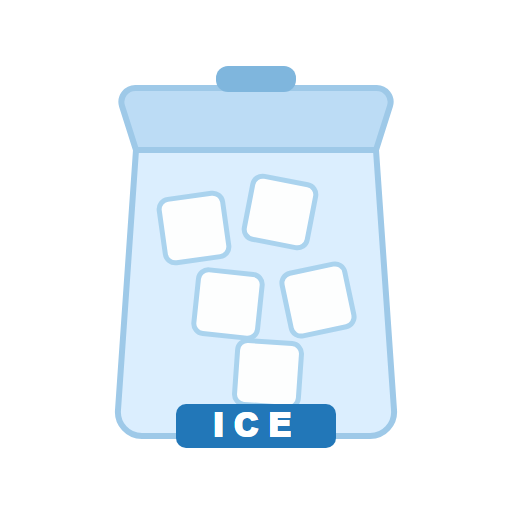 Small Bag of Ice